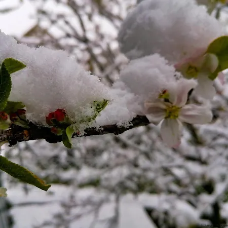 Casa Largo S Lourenco E Casa Da Videira Nyaraló