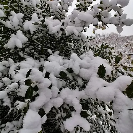 Hébergement de vacances Casa Largo S. Lourenço Mazes