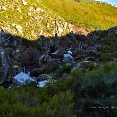 Casa Largo S Lourenco E Casa Da Videira Сasa de vacaciones