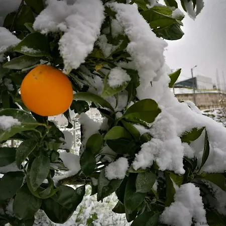 Holiday home Casa Largo S Lourenco E Casa Da Videira Mazes