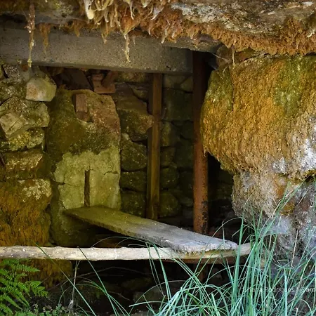 Casa Largo S Lourenco E Casa Da Videira Holiday home Mazes