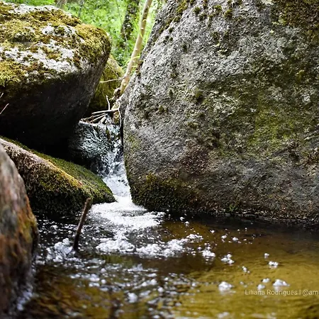 Casa Largo S Lourenco E Casa Da Videira