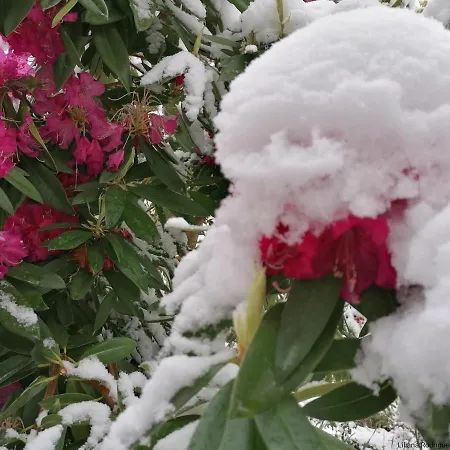 Casa Largo S Lourenco E Casa Da Videira Holiday home