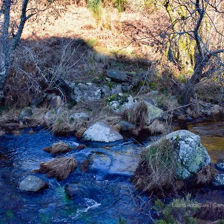 Casa Largo S Lourenco E Casa Da Videira *