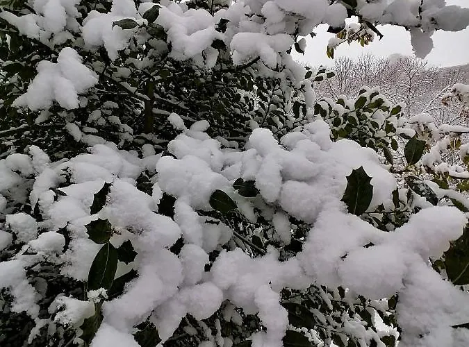 Vakantiehuis Casa Largo S Lourenco E Casa Da Videira Mazes