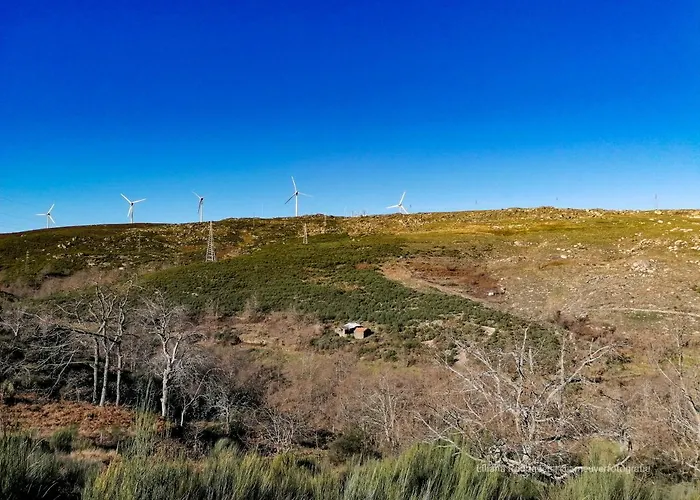 Nyaraló Casa Largo S Lourenco E Casa Da Videira *