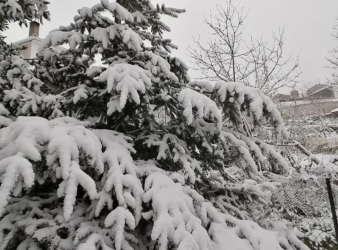 Casa Largo S Lourenco E Casa Da Videira