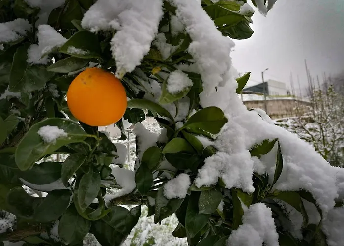 Vakantiehuis Casa Largo S Lourenco E Casa Da Videira Mazes