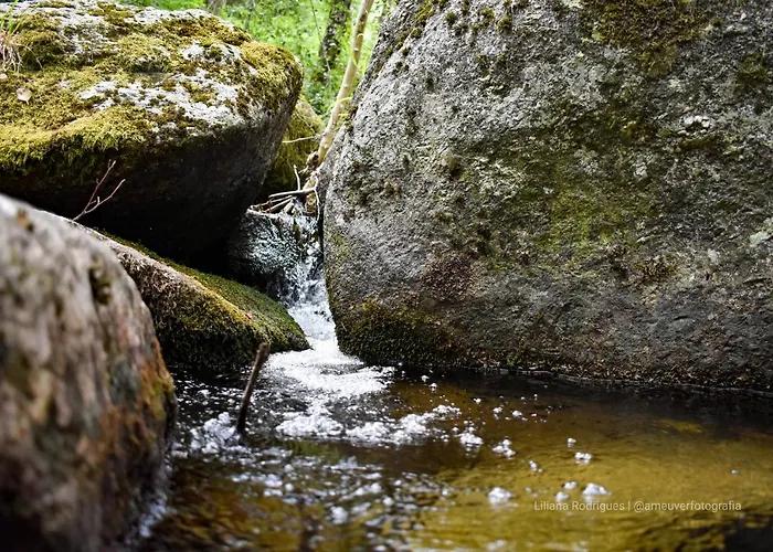 Casa Largo S Lourenco E Casa Da Videira