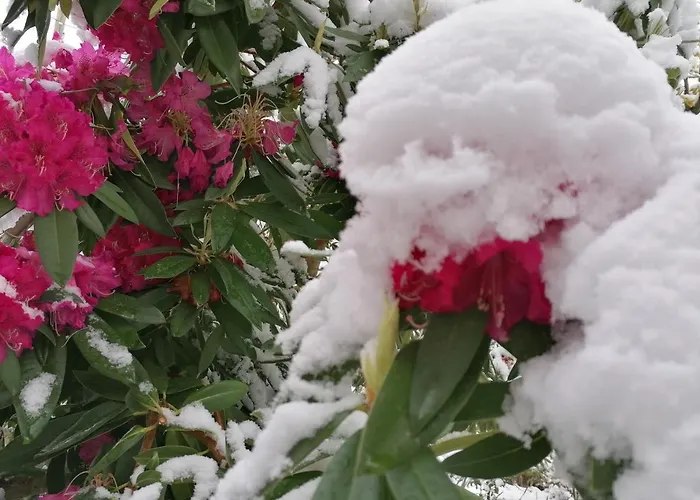Casa Largo S Lourenco E Casa Da Videira Nyaraló