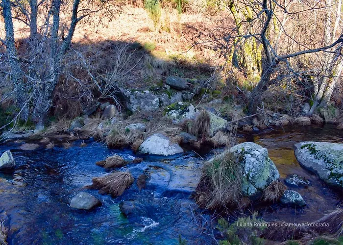 Casa Largo S Lourenco E Casa Da Videira *
